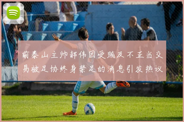 前泰山主帅郝伟因受贿及不正当交易被足协终身禁足的消息引发热议